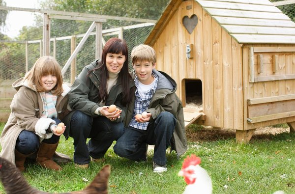 Les conseils pour bien choisir le meilleur poulailler de qualité
