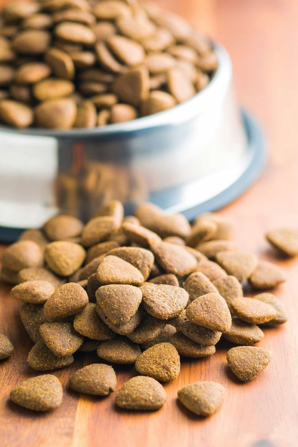 Les choix les plus recommandés : marques de croquettes pour Dobermans