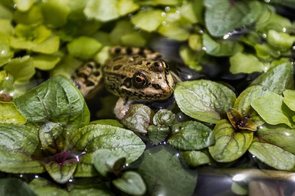 Découverte ludique au zoo de vincennes à paris
