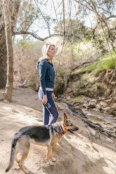 Les avantages des laisses pour gros chien